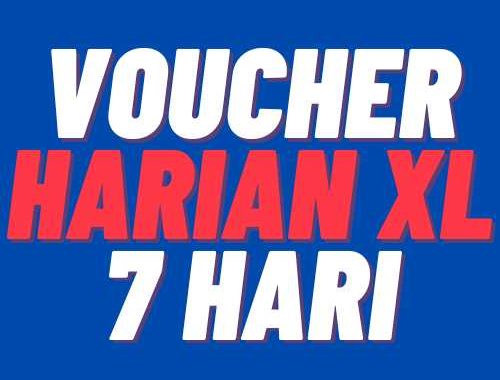 V XL 7Harian XL