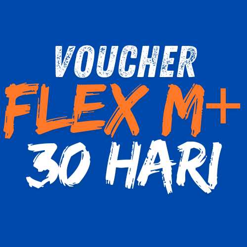 V XL Flex M+ 30H 11GB+3GB - 30