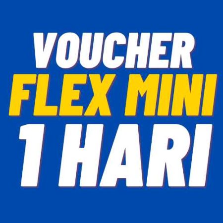 V XL 1Harian Flex Mini 3GB 1hr