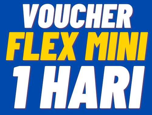V XL 1Harian Flex Mini 3GB 1hr