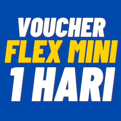 V XL 1Harian Flex Mini 3GB 1hr
