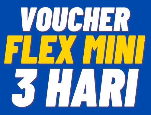 V XL 3Harian Flex Mini 20GB 3hr