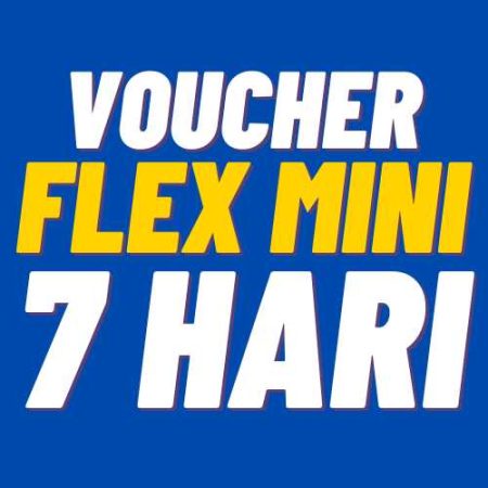 V XL 7Harian Flex Mini 10GB 7hr