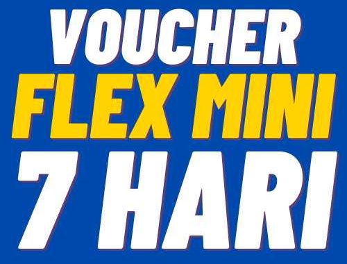 V XL 7Harian Flex Mini 6GB 7hr