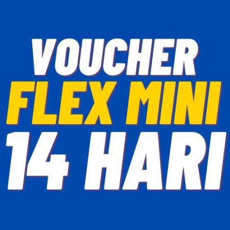 V XL 14Harian Flex Mini 8GB 14hr