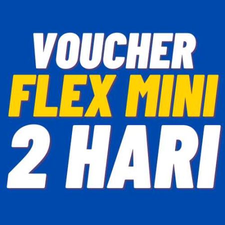 V XL 2Harian Flex Mini 12GB 2hr