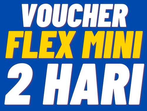 V XL 2Harian Flex Mini 12GB 2hr
