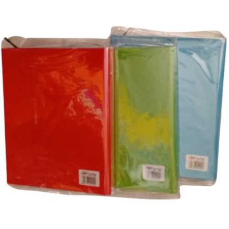 Map Plastik Binder A5 FORTE