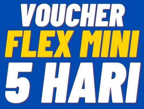 V XL 5Harian Flex Mini 8GB 5hr